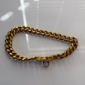 Gold Tone Dog Collar